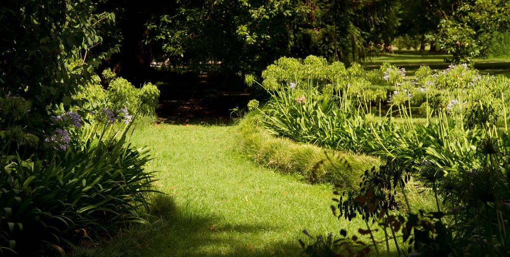 Estancia Monte Viejo ブランドセン エクステリア 写真