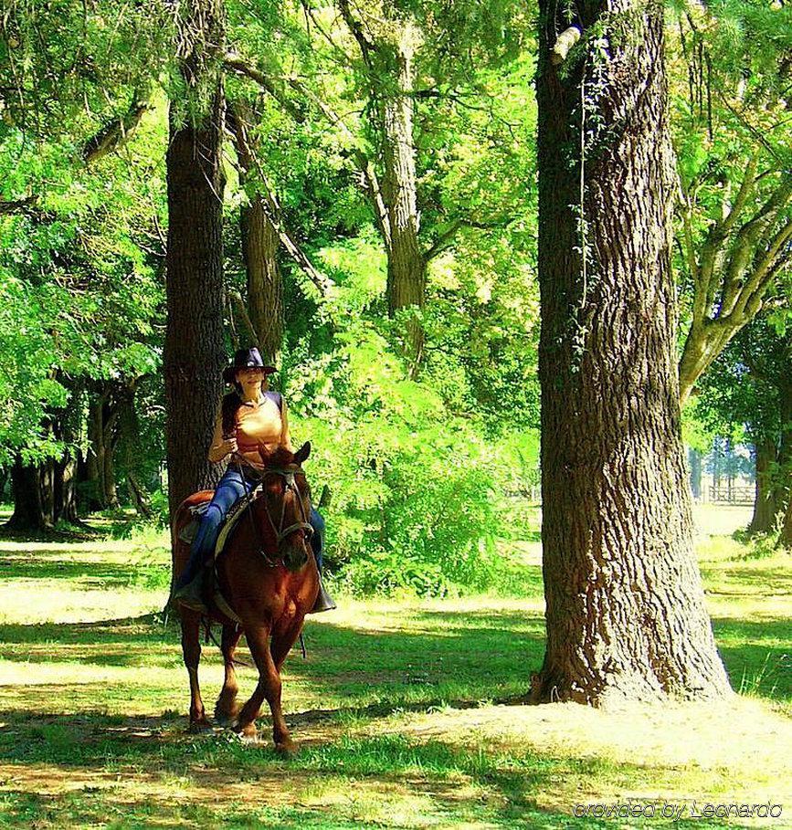 Estancia Monte Viejo ブランドセン エクステリア 写真